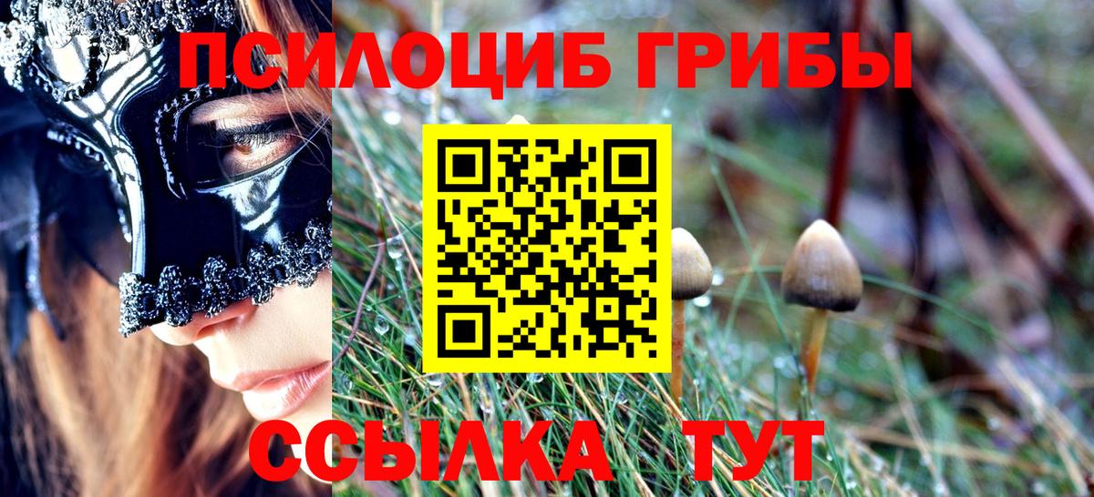 Галлюциногенные грибы Cubensis  Вход с VPN  Шелехов 