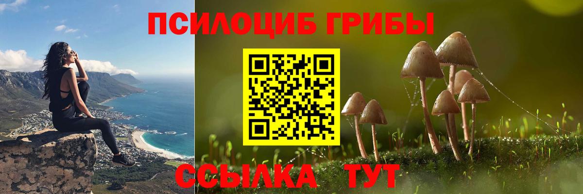 Галлюциногенные грибы мицелий Шелехов